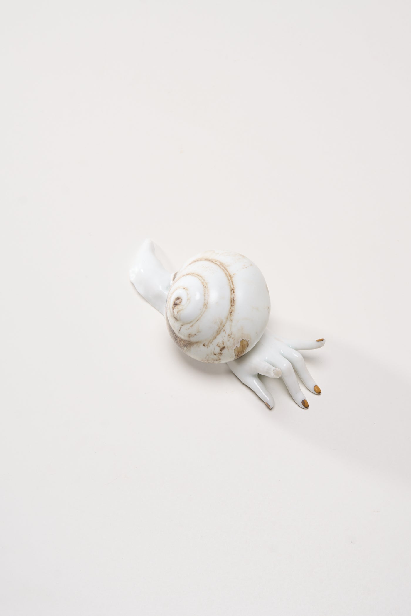 Snail Hand Sculpture